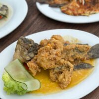 Live Seafood Experience in Seminyak