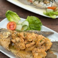 Live Seafood Restaurant in Seminyak: Damasta Sports Bar Is the Real Deal